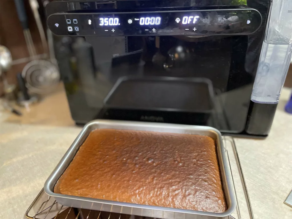 Anova Precision Oven Review: Sous Vide in an Oven - Sizzle and Sear