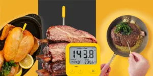 A wireless wet bulb thermometer for your conventional oven or BBQ  (Combustion Inc) : r/CombiSteamOvenCooking